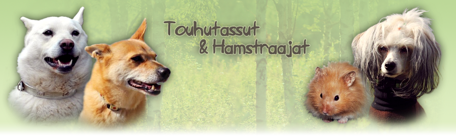 Touhutassut & Hamstraajat