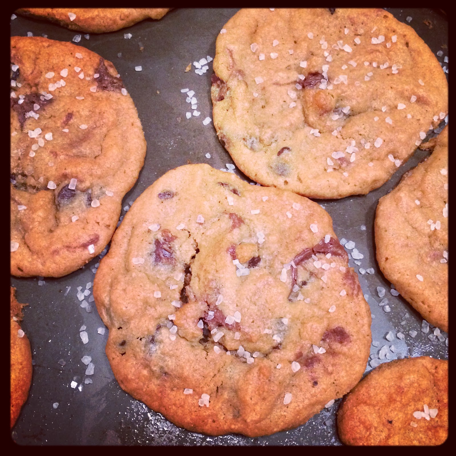 Southern Bourbon Mountains Chocolate Chip Nutella Sea Salt Cookies