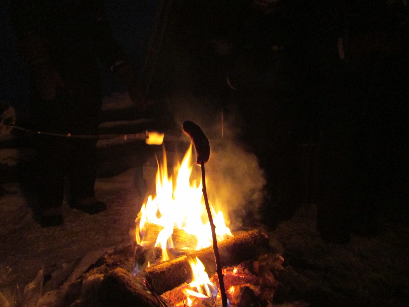 Life and lizzyâ¡: droombestemming: het wintersprookje lapland