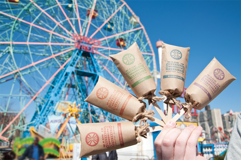 Made In Brooklyn Rooftop Garden Popsicles (Student Project) on