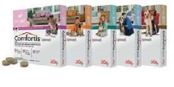 Where Can You Buy Flea Pills For Dogs Where Can You Buy Flea Pills For Dogs