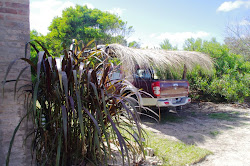 Lugar de parqueo