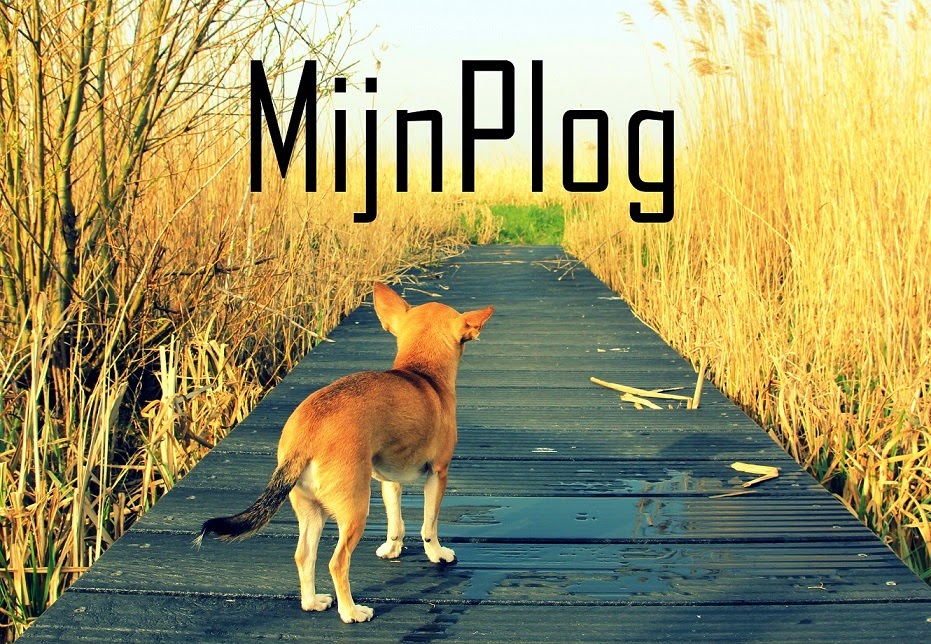 MijnPlog