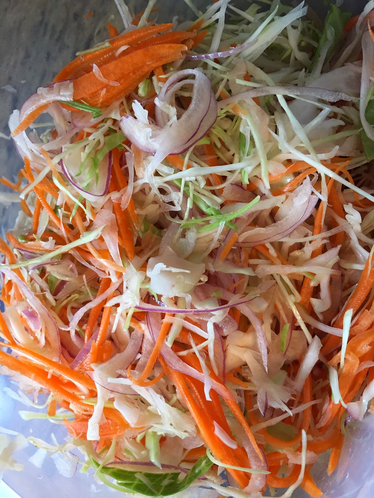 Cabbage, Red Onion and Carrot Slaw Modernist Foodie