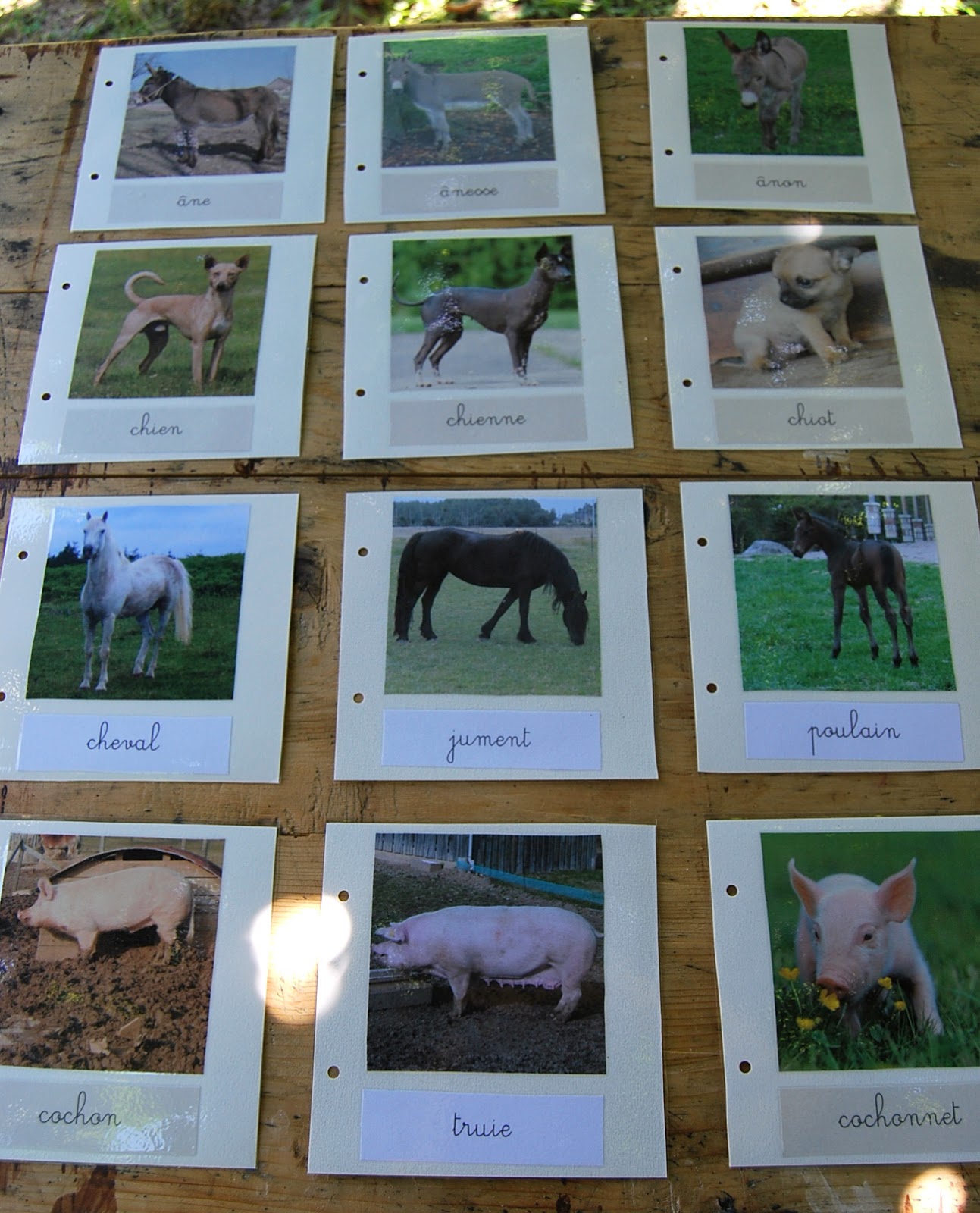 Реферат: Animal Farm Essay Research Paper Animal FarmEric
