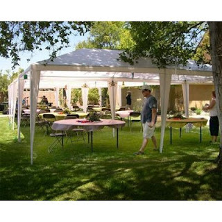 Simple Backyard Wedding Ideas | My Backyard Ideas