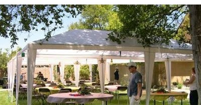 Simple Backyard Wedding Ideas | My Backyard Ideas