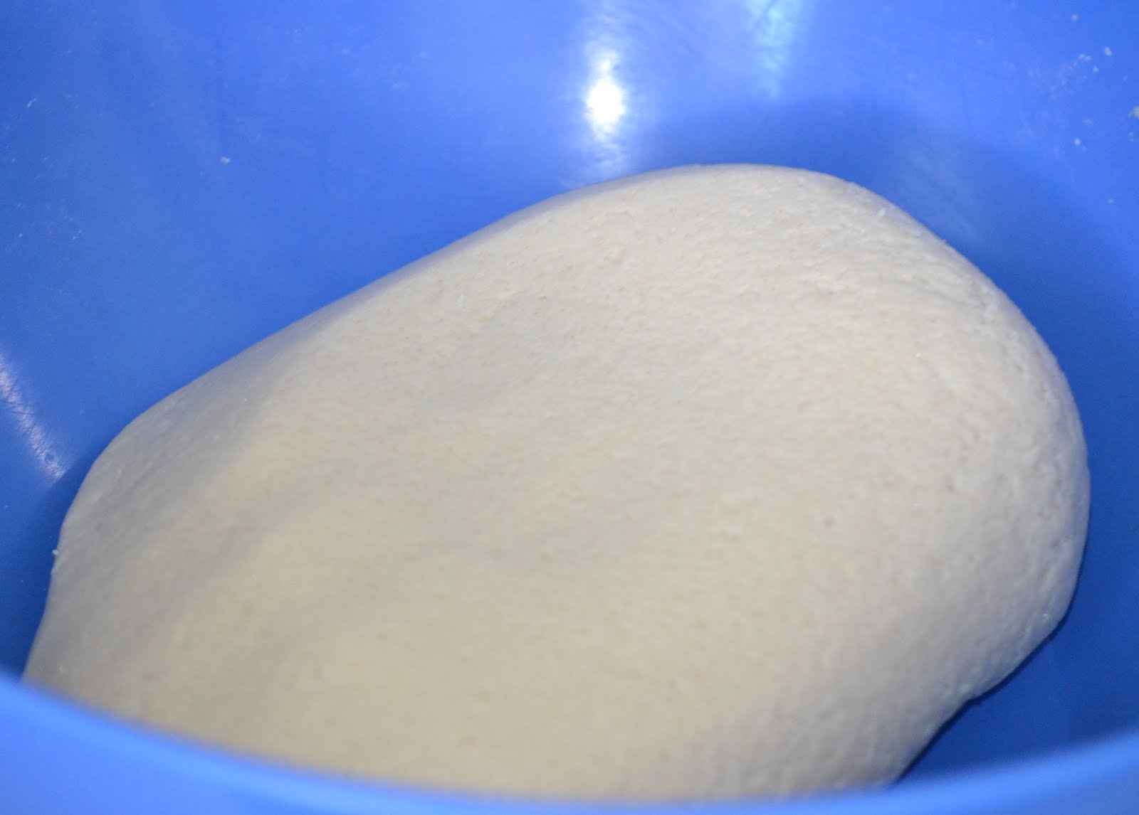 SaltDough Creations A Fun Craft for All Ages Mom On Timeout