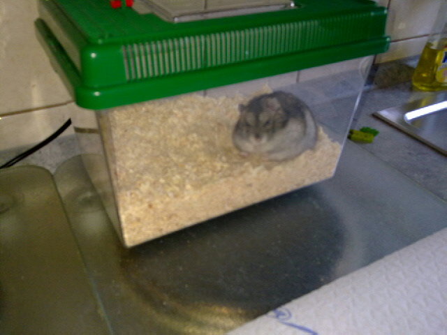 Https Www Waz De Staedte Dortmund Sued Arbeiten Am