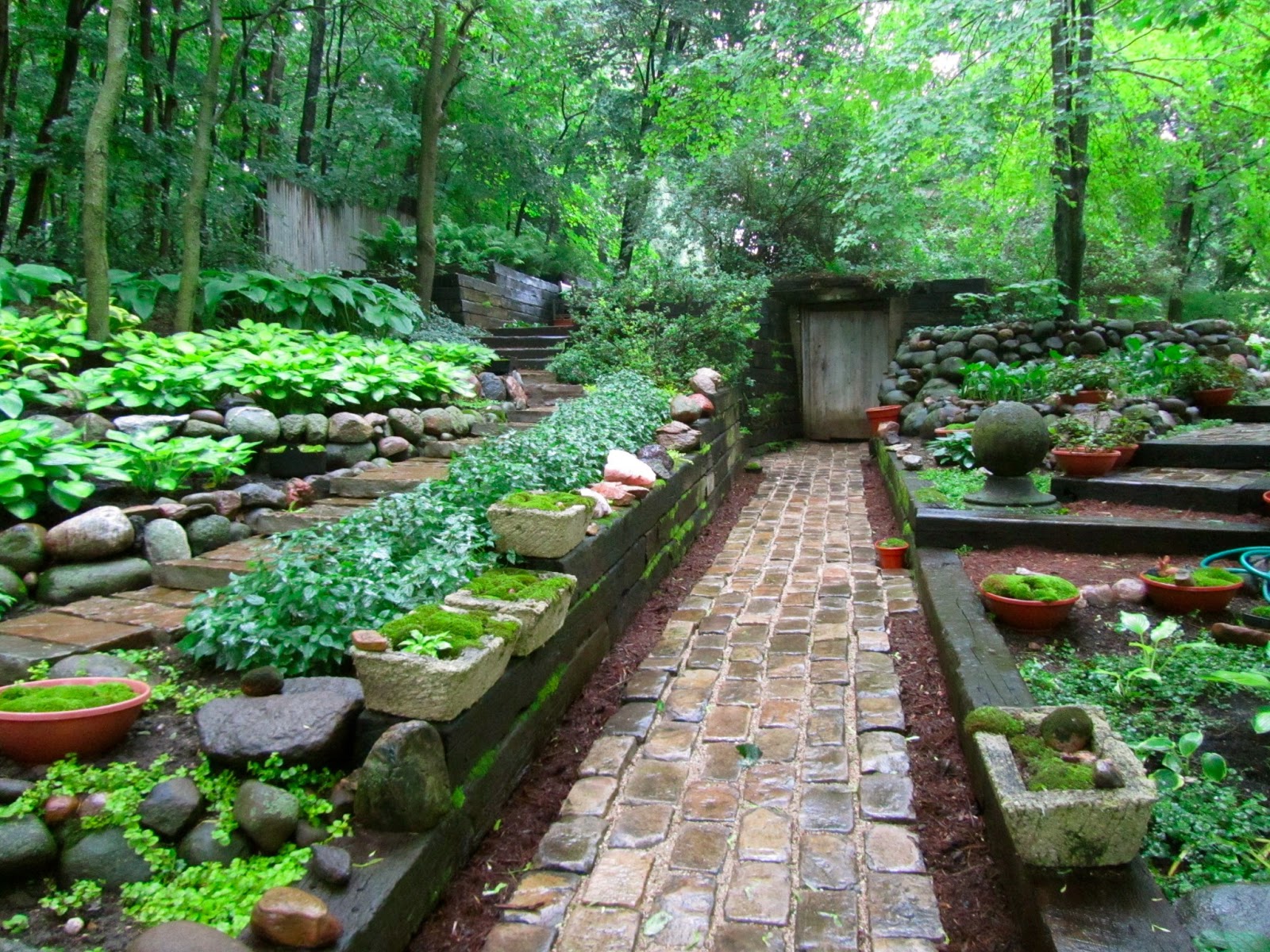 The First Moss Garden In India Has Opened For Tourists In 