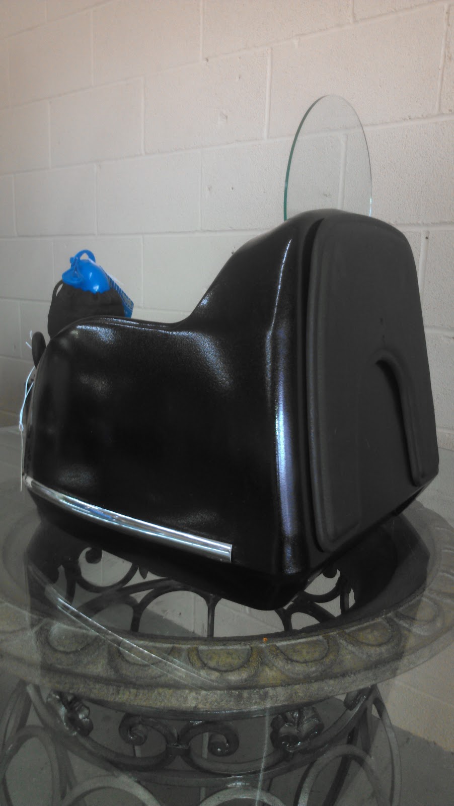 Pet Carrier for Mopeds Scooters or Motorcycles. Take your best friend