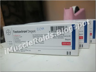 Meditech stanozolol injection