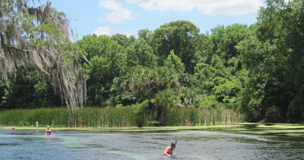 Spring Trip 2011 Salt Springs Recreational Area, Ocala National Forest