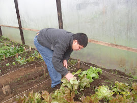 ¡¡ME HARÉ UNA RICA ENSALADA!!