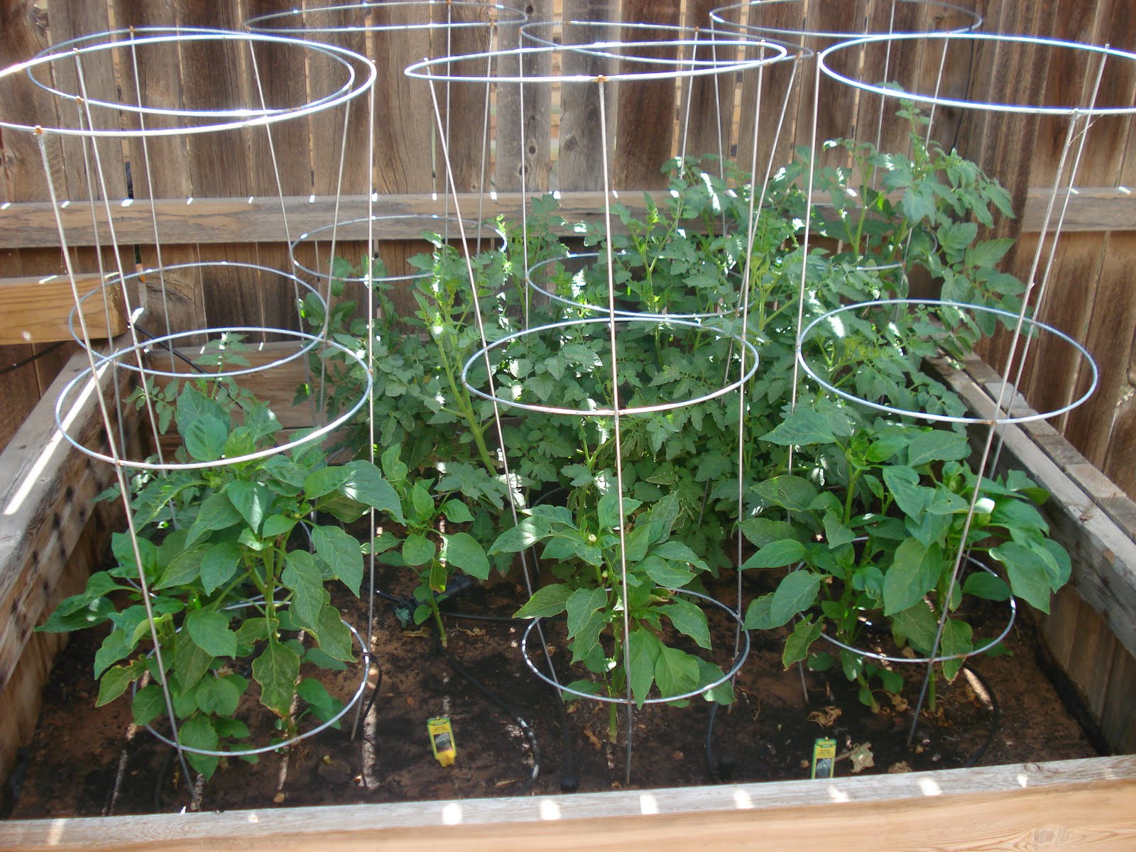 Adventures Of A Wanna Be Country Girl Garden Watering System and Progress