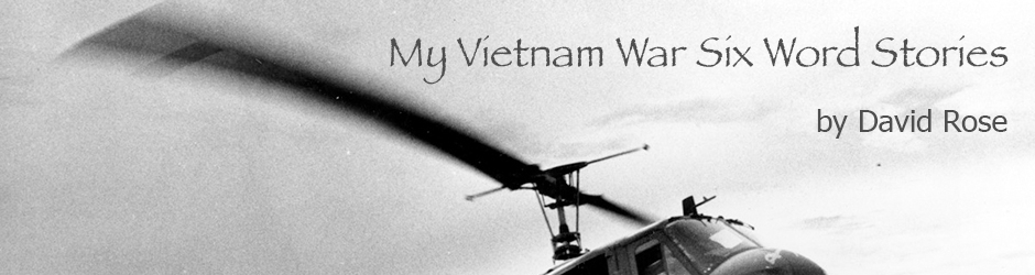 My Vietnam War Six Word Stories