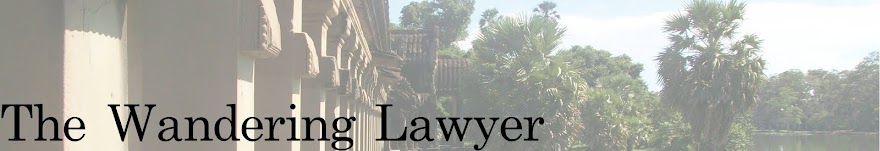 The Wandering Lawyer