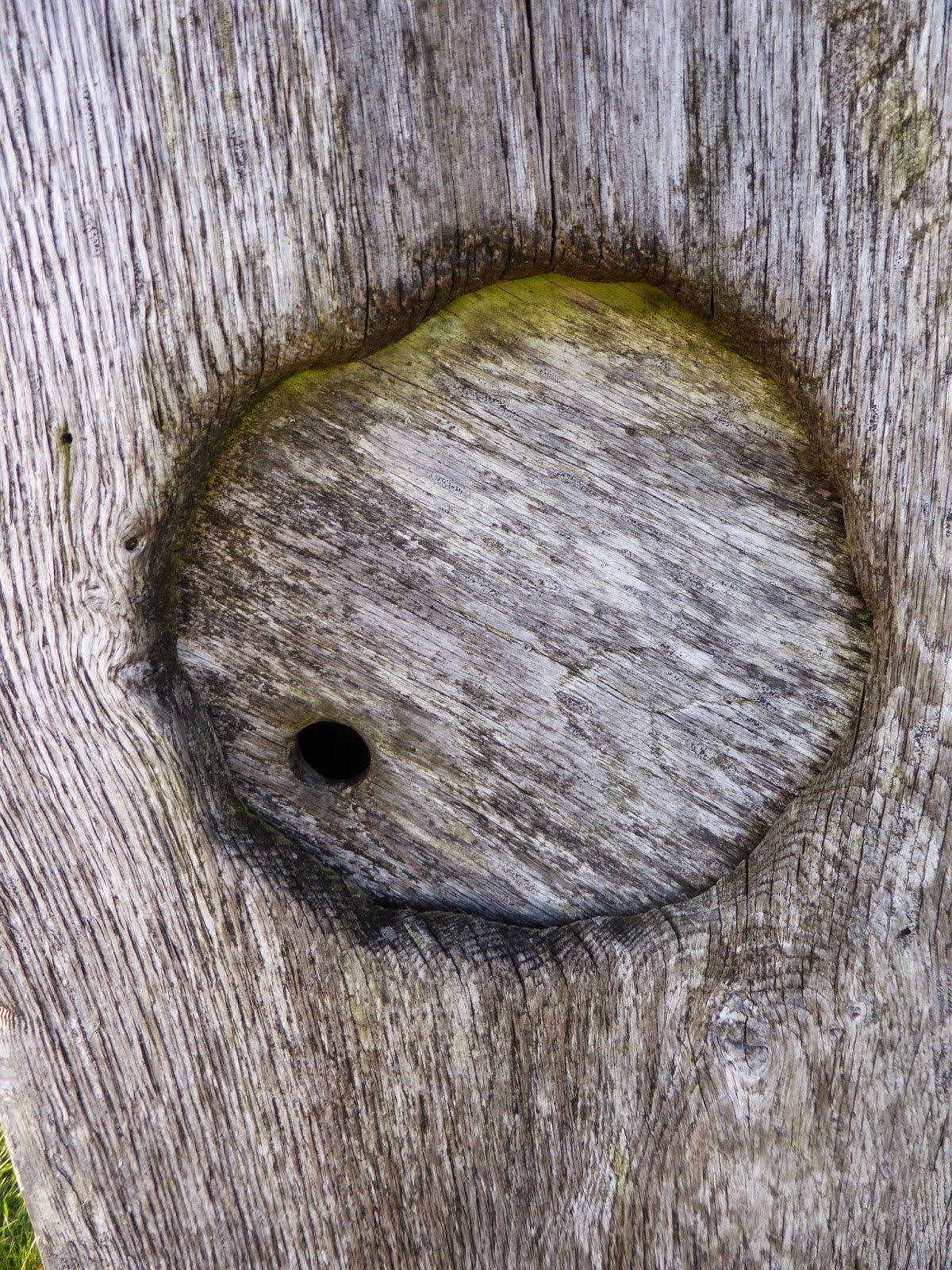 MTB Innerwick Stravaiger The 'Herring Road'