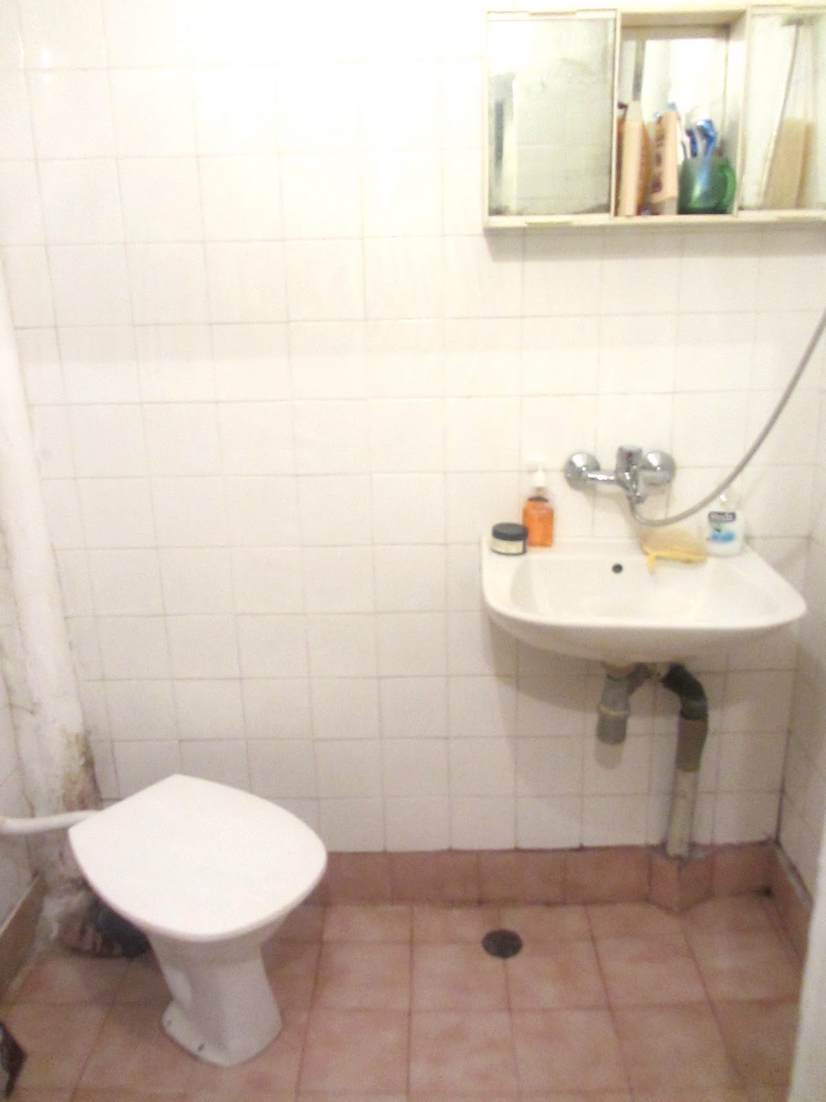 Po Bavno Melissa in Bulgaria The Shower Sink Toilet Phenomena