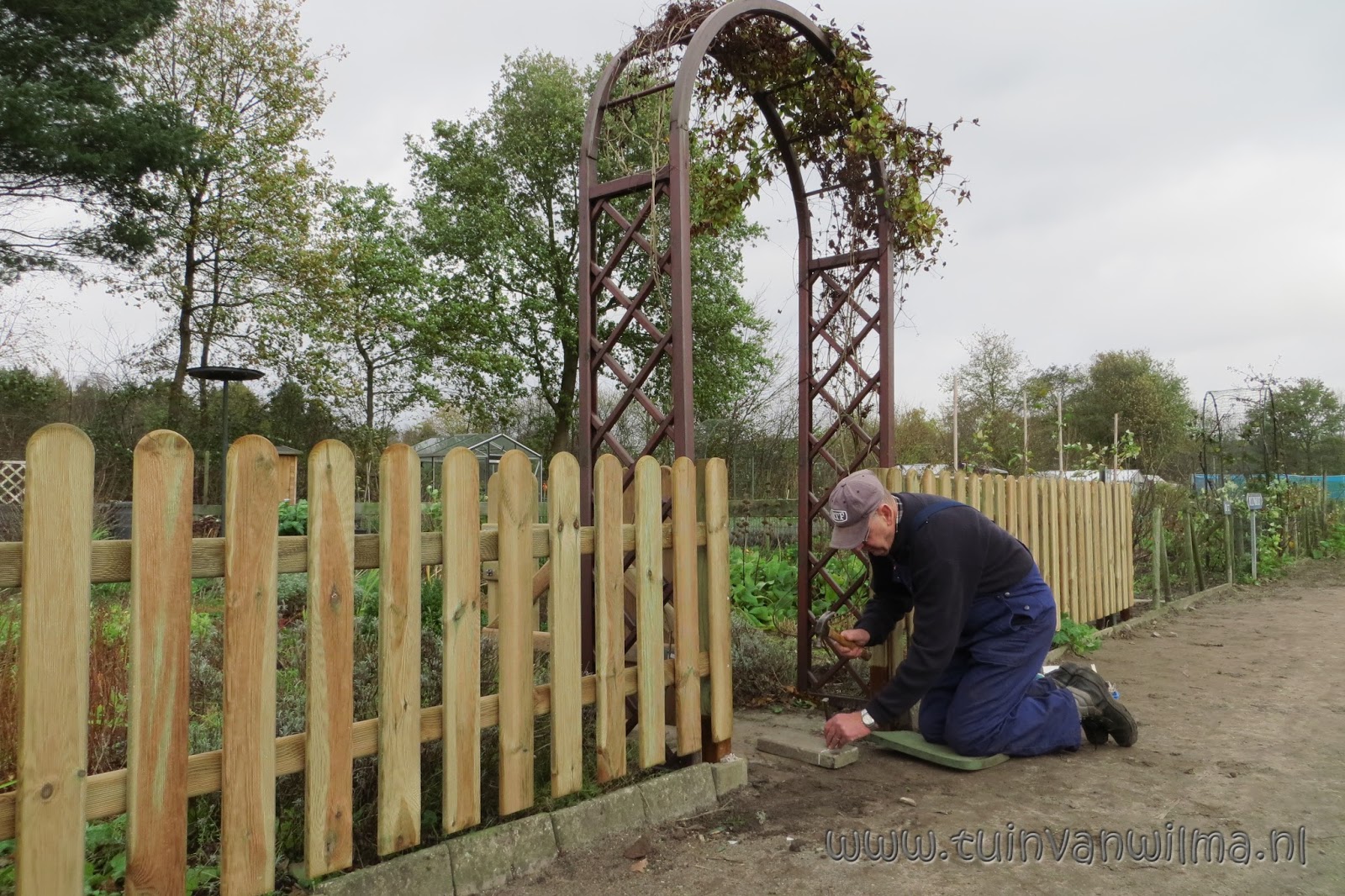 Wilma's wel en wee tuin blog