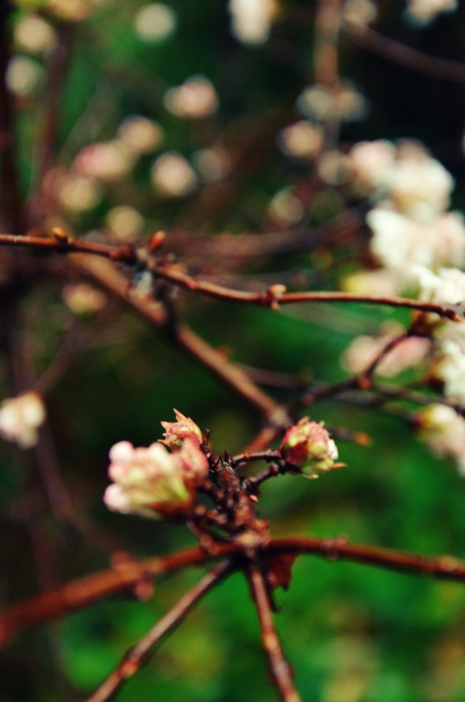 Happiness November 2015