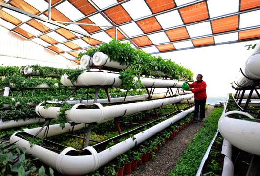 Tejidos tecnicos para la agricultura Tejidos técnicos para la agricultura
