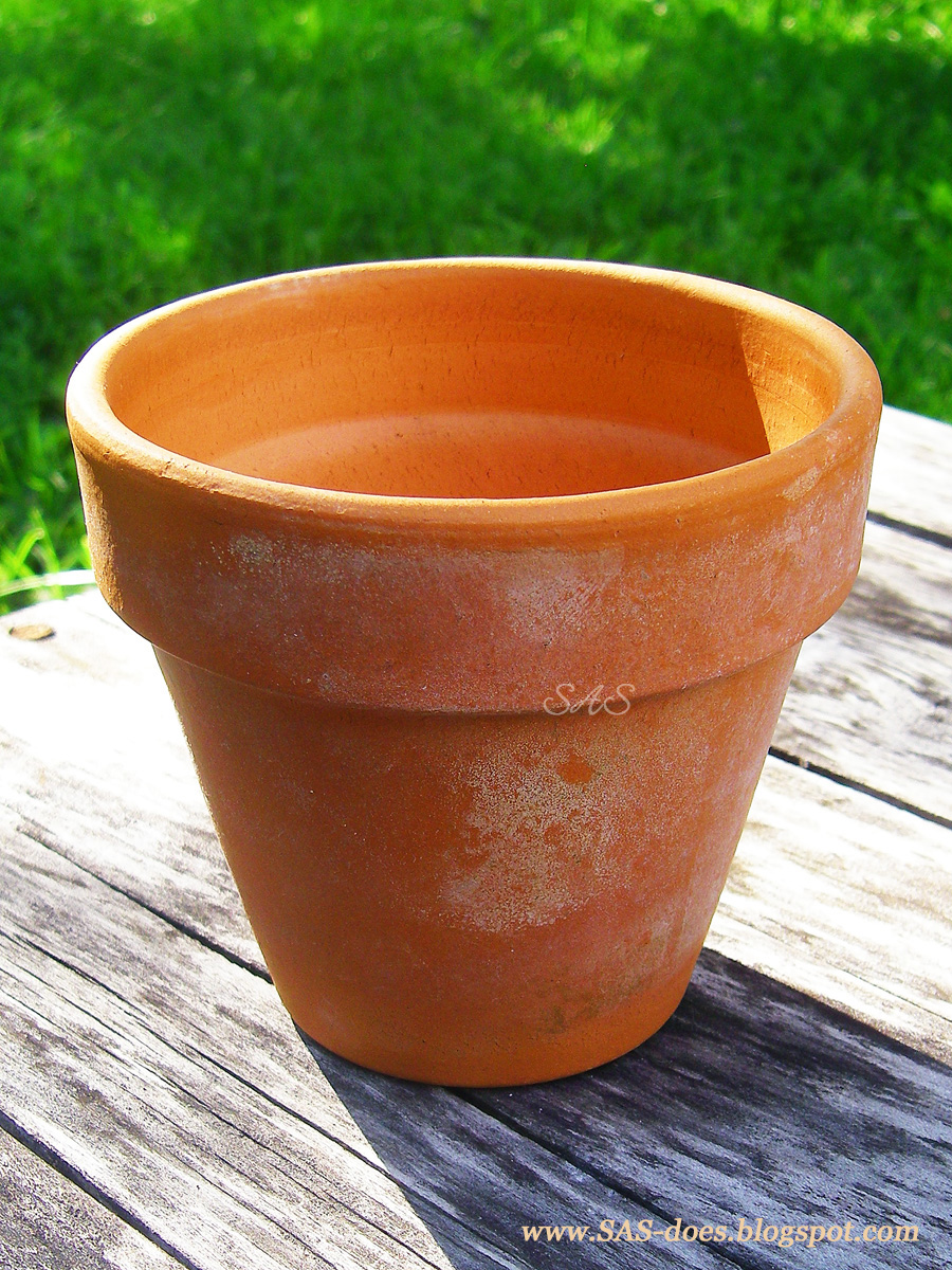 Caring for terracotta pots SAS does Caring for terracotta pots