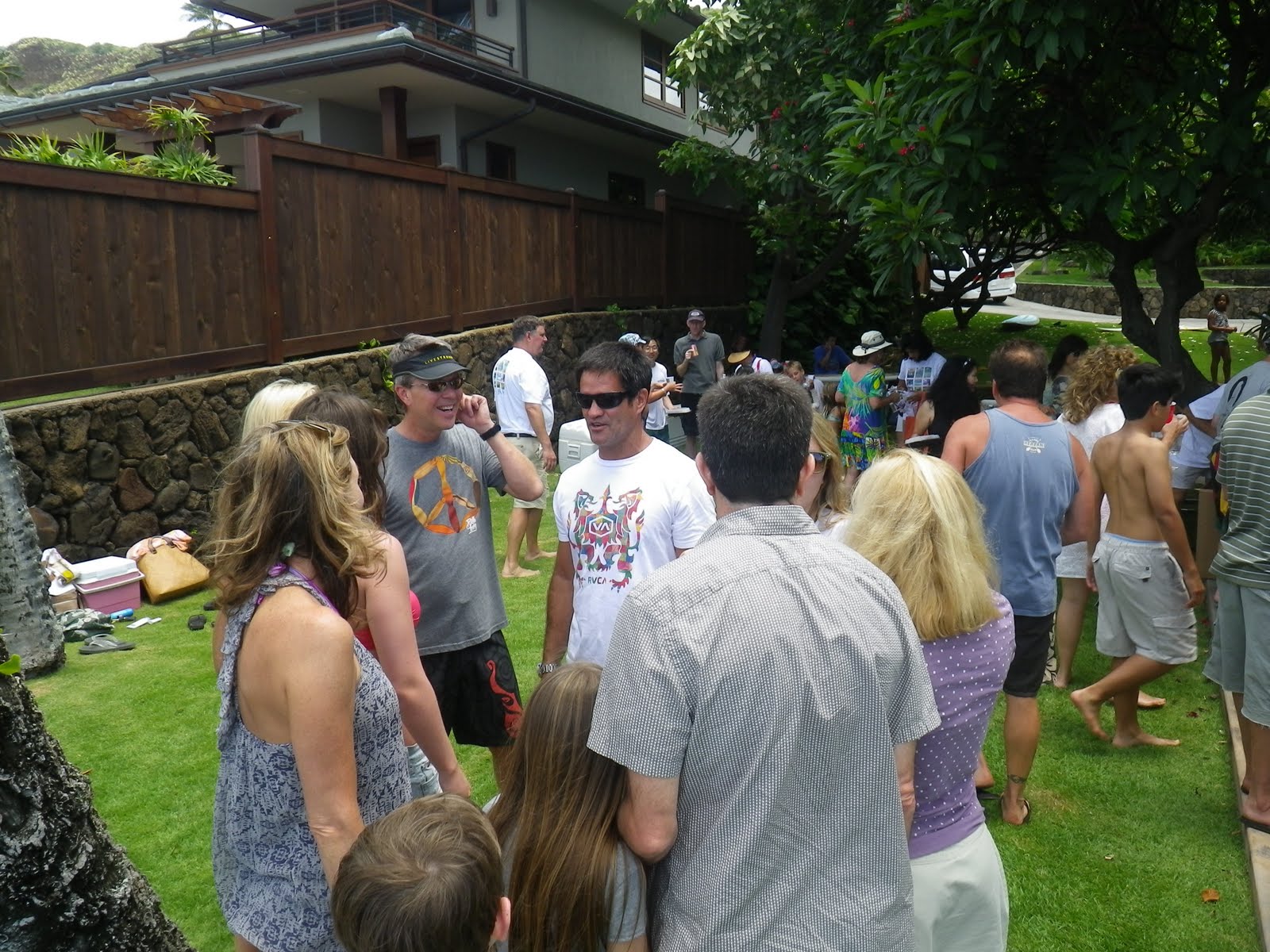 Psychedelic Waterfall: My Joe's 30th Punahou School Reunion