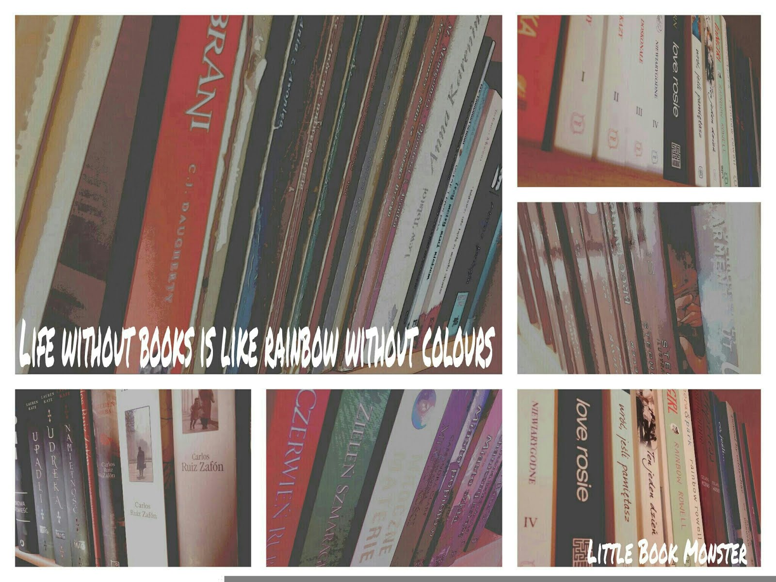 Life without books is like rainbow without colours