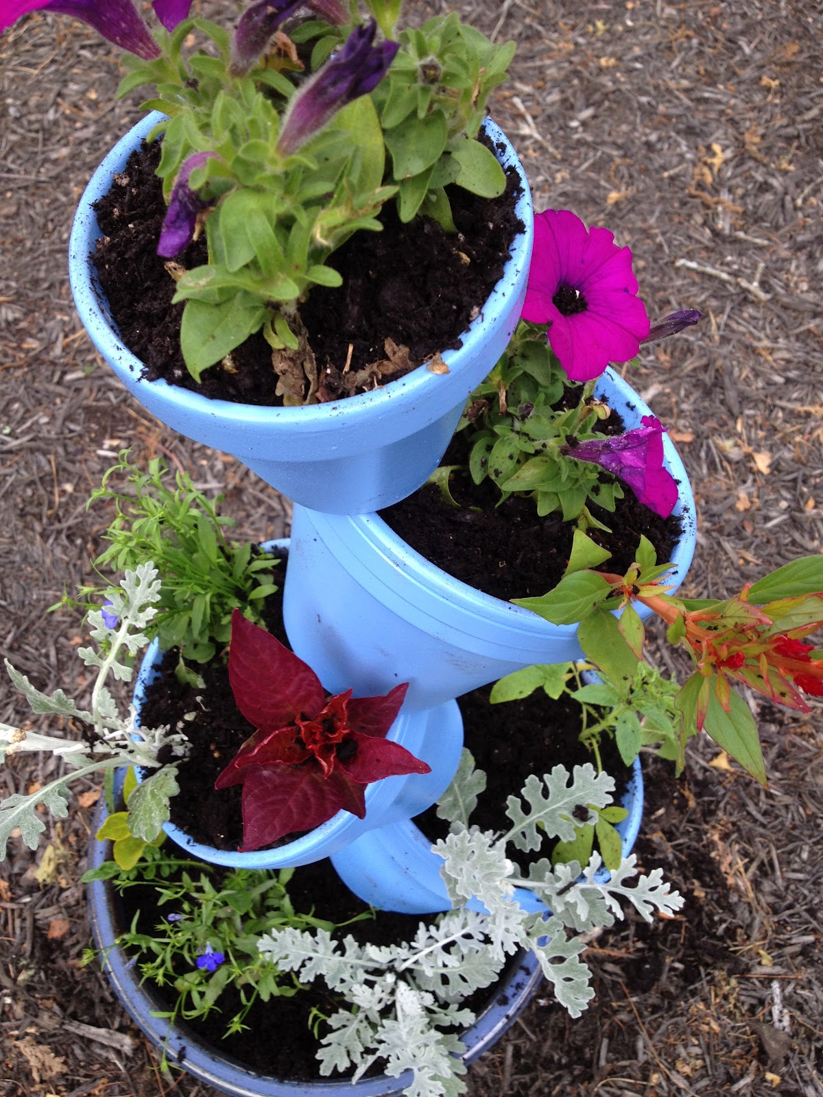 See Molly Create DIY Tipsy Plant Pots