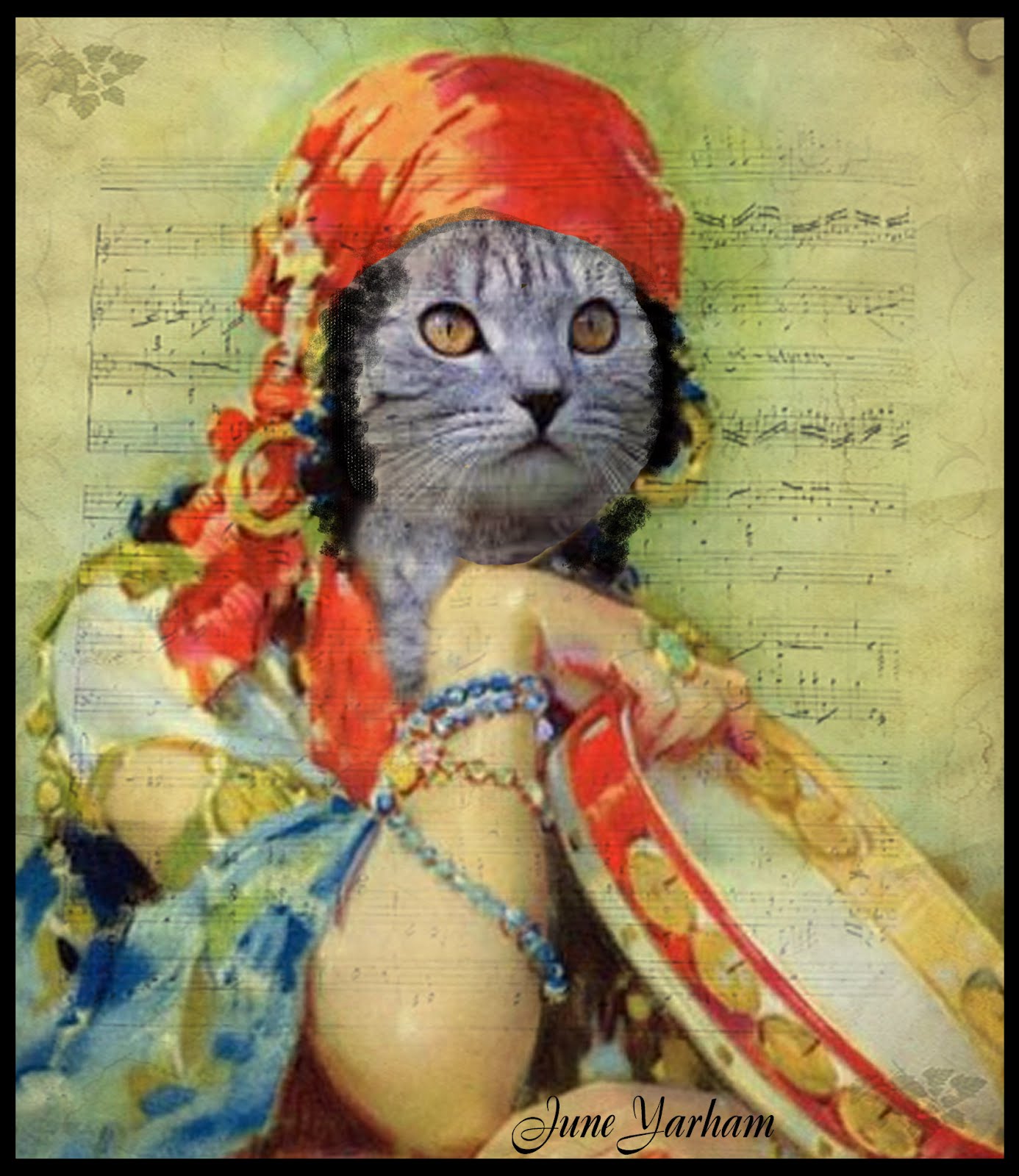 Gypsy Cat