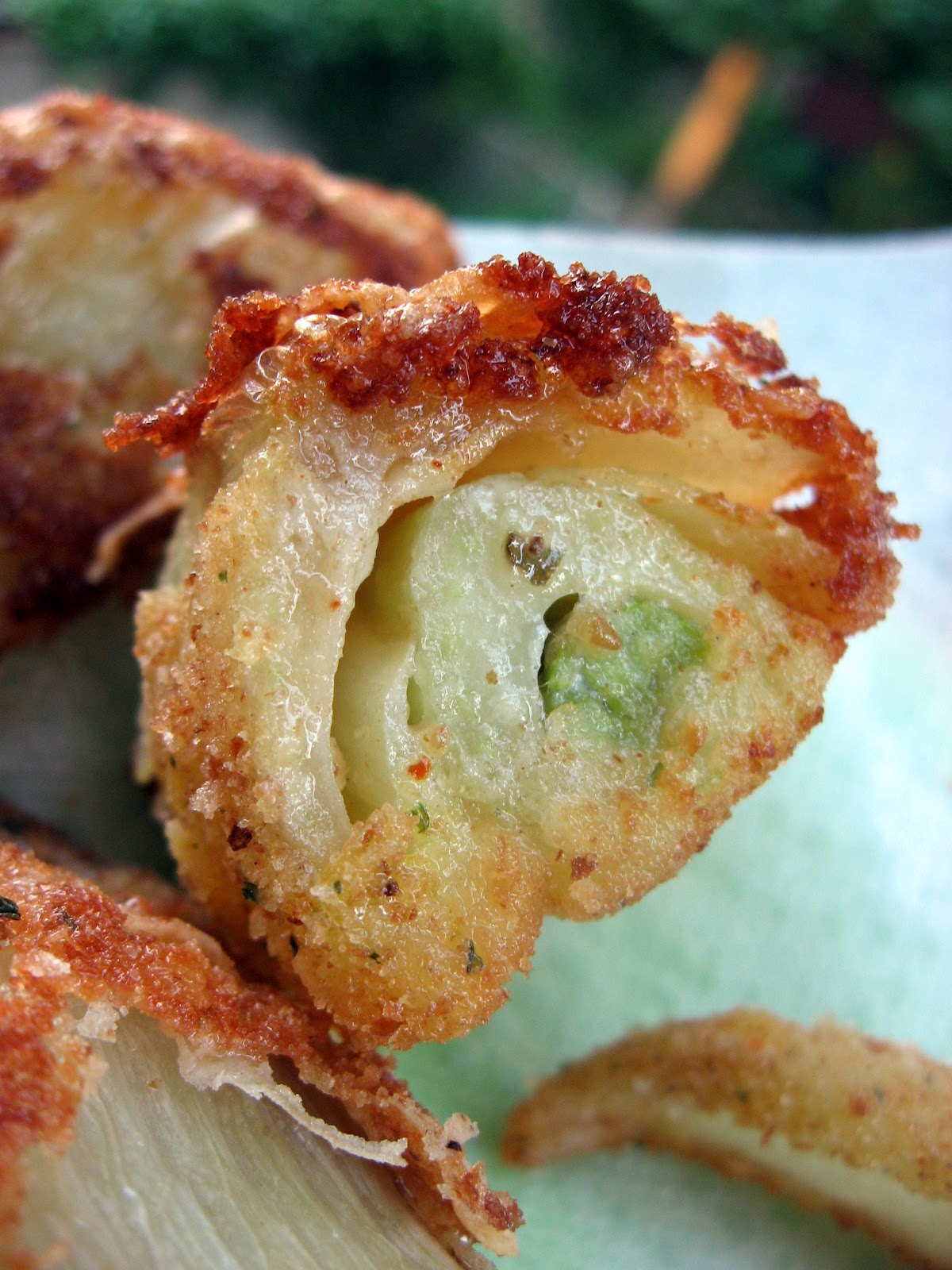 Farm share stories PanFried Fennel