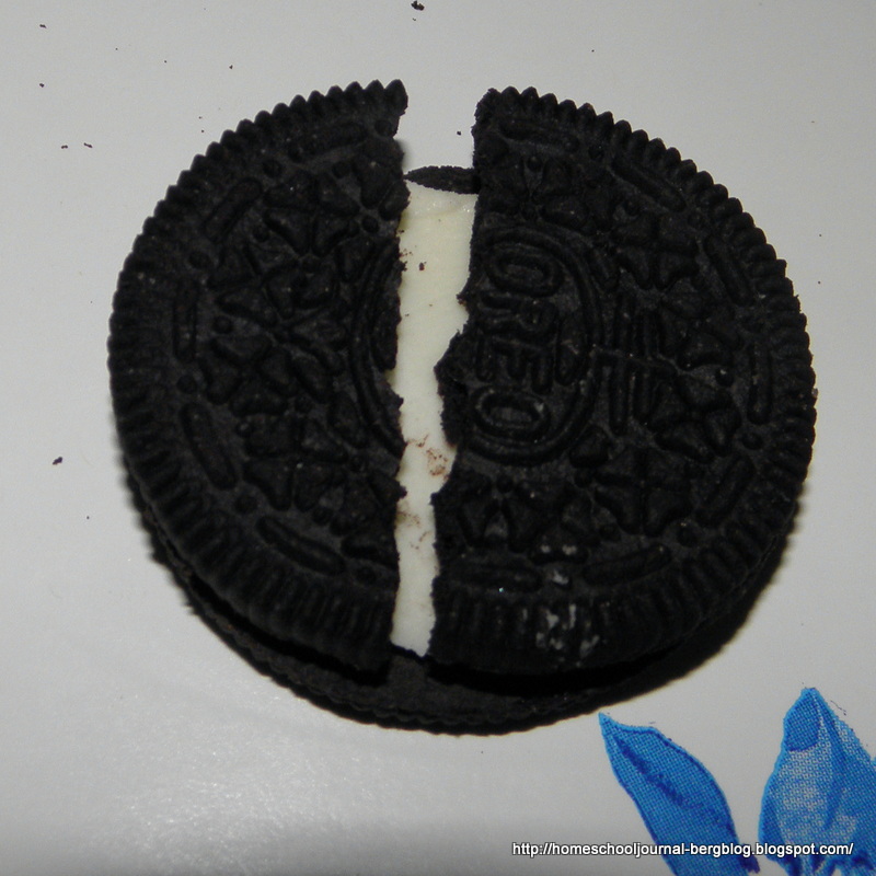 All Things Beautiful Oreo Plate Tectonics
