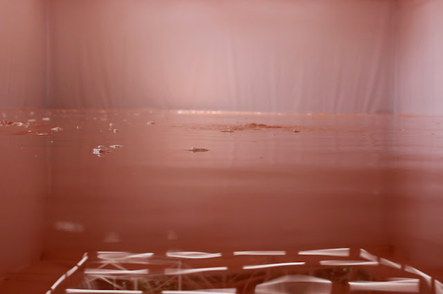 Biennale de Venise - Les Giardini