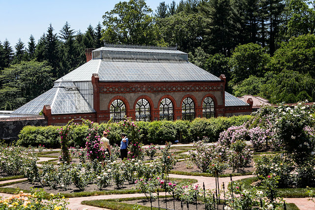 The Rose Garden at the Biltmore Gardens