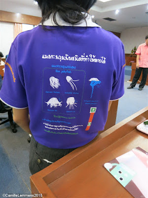 Box jelly fish instructor trainer presentation on Koh Samui