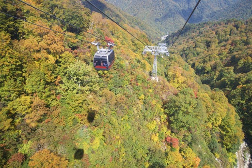 ロープウェイ車内から見える大パノラマの紅葉 ロープウェイ車内から見える大パノラマの紅葉