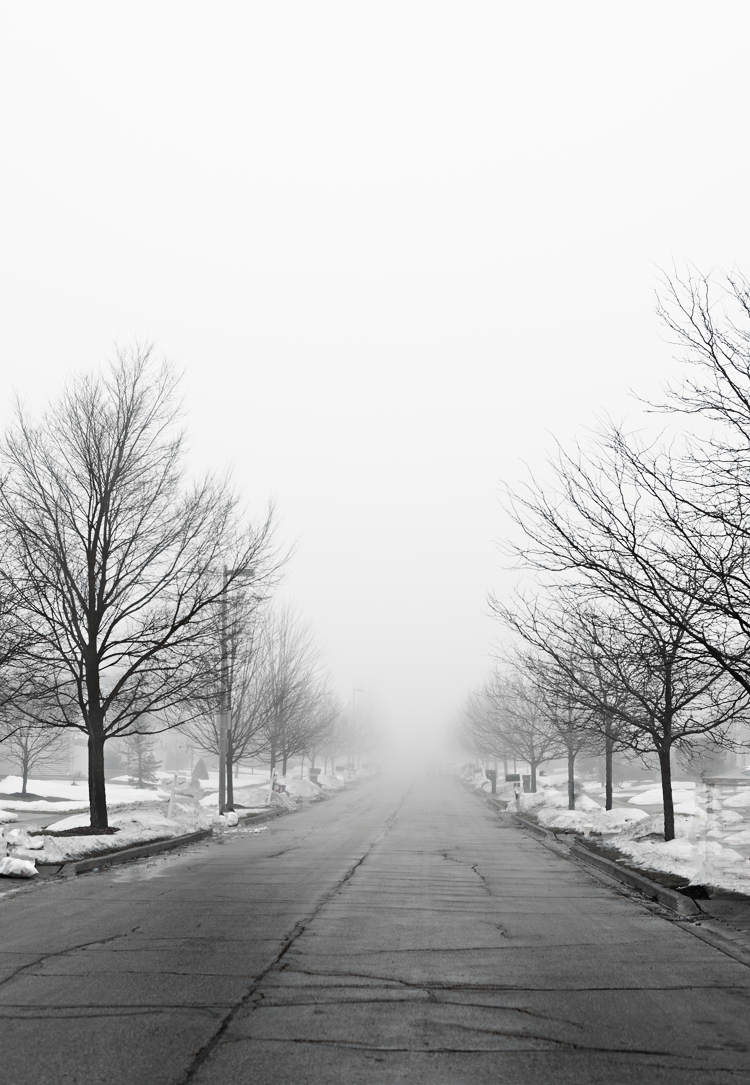 #FoggyLandscape #Winter #Landscape #SimiJoisPhotography 
