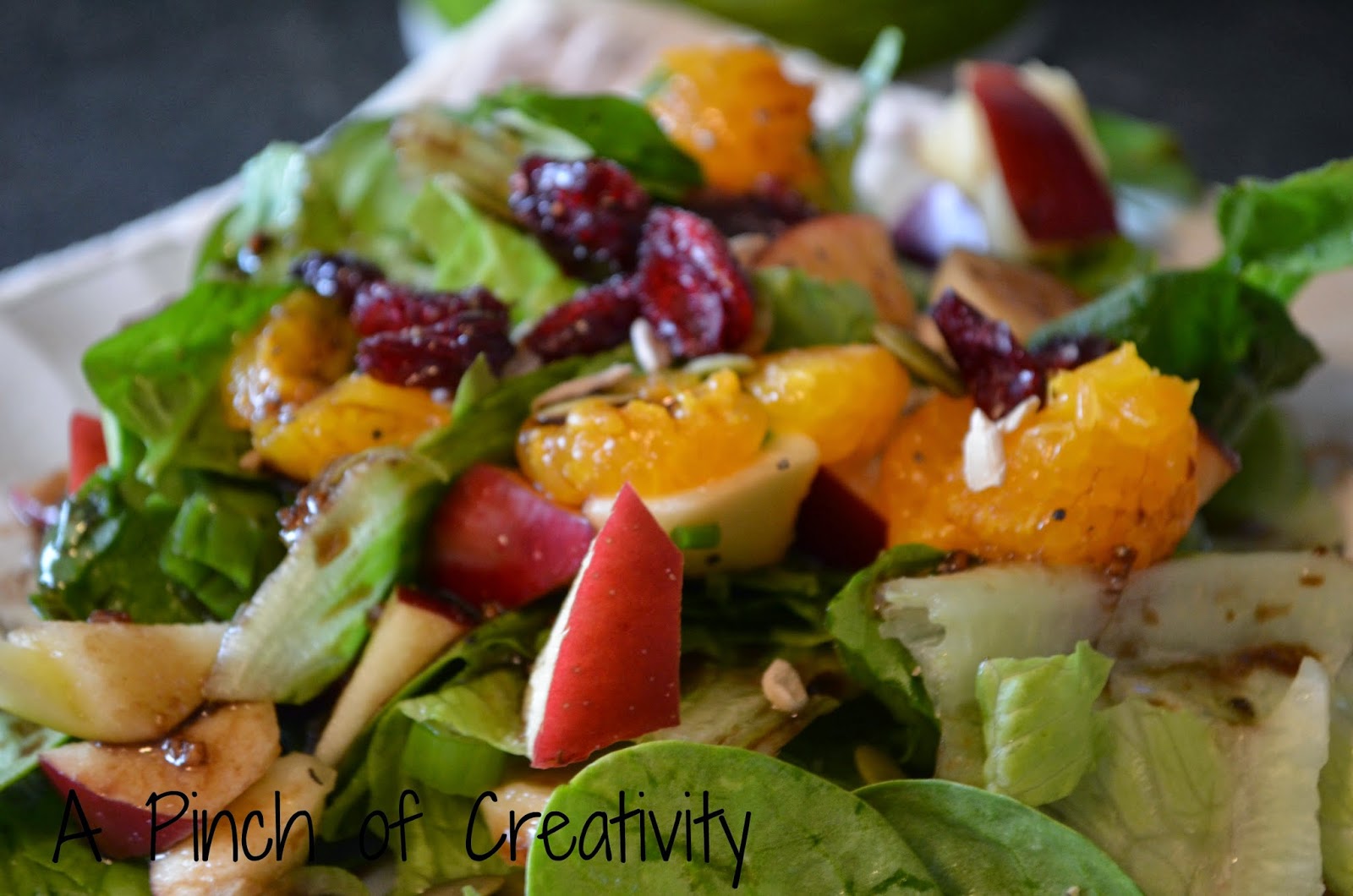 A Pinch of Creativity Balsamic Salad Dressing
