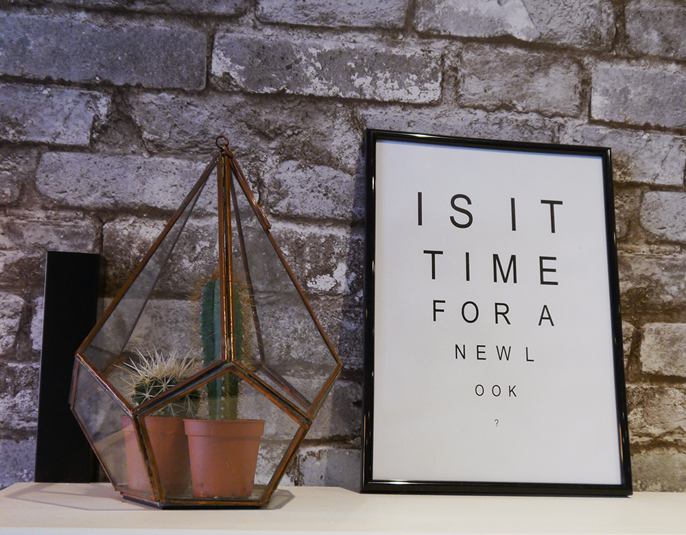 Glass terranium with cactus IOLLA, eyewear, affordable glasses, Glasgow, show room, Finnieston, blogger favourite