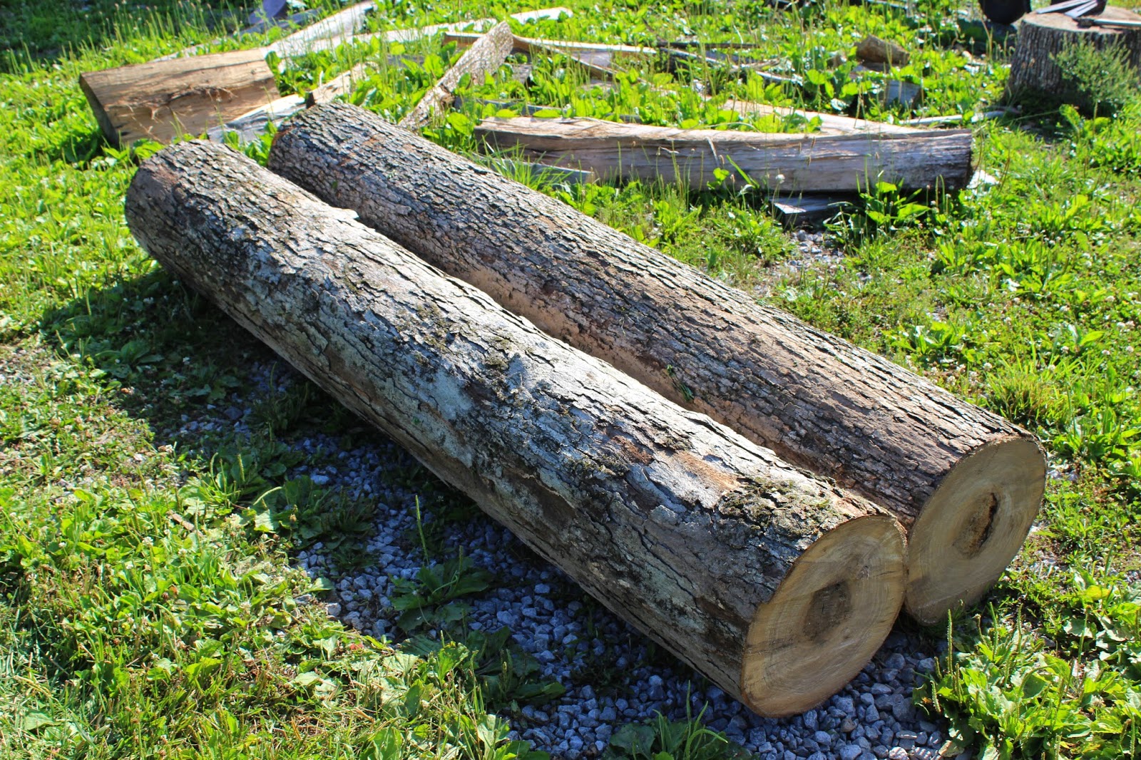 Around The Shop Where It All Begins