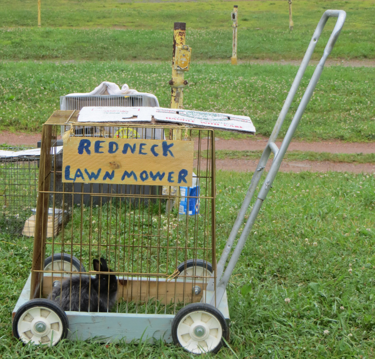 Is this 1 Weird lawn mower or what ?