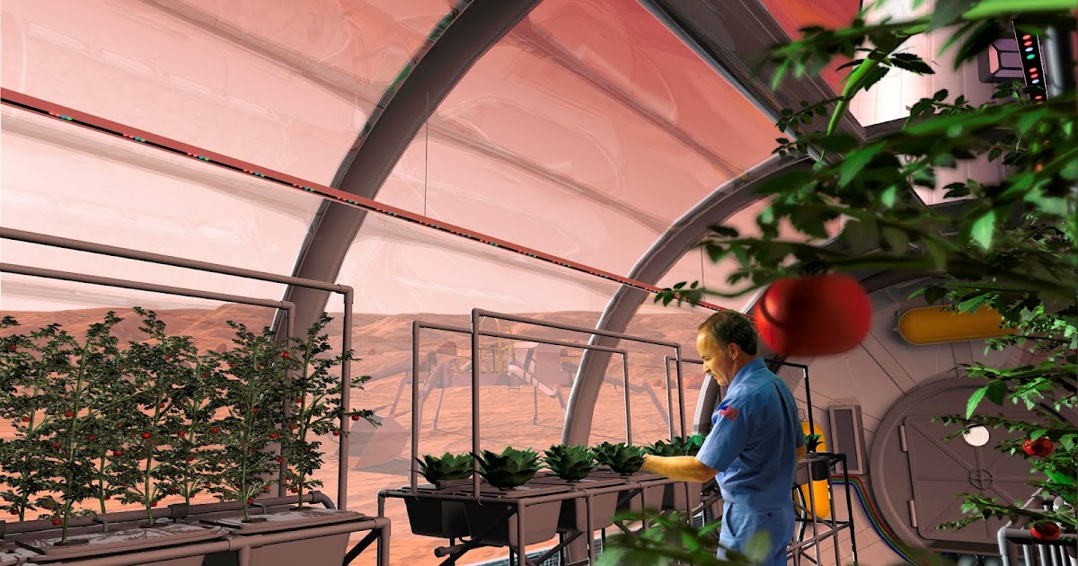 Space Food 101 Spirulina