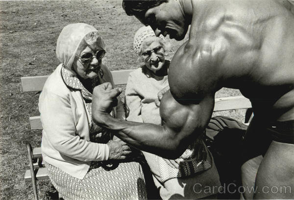 arnold schwarzenegger workout pictures. arnold schwarzenegger workout