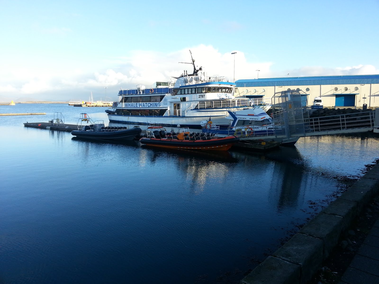 Wahlbeobachtungsbot im Hafen von Reykjavik