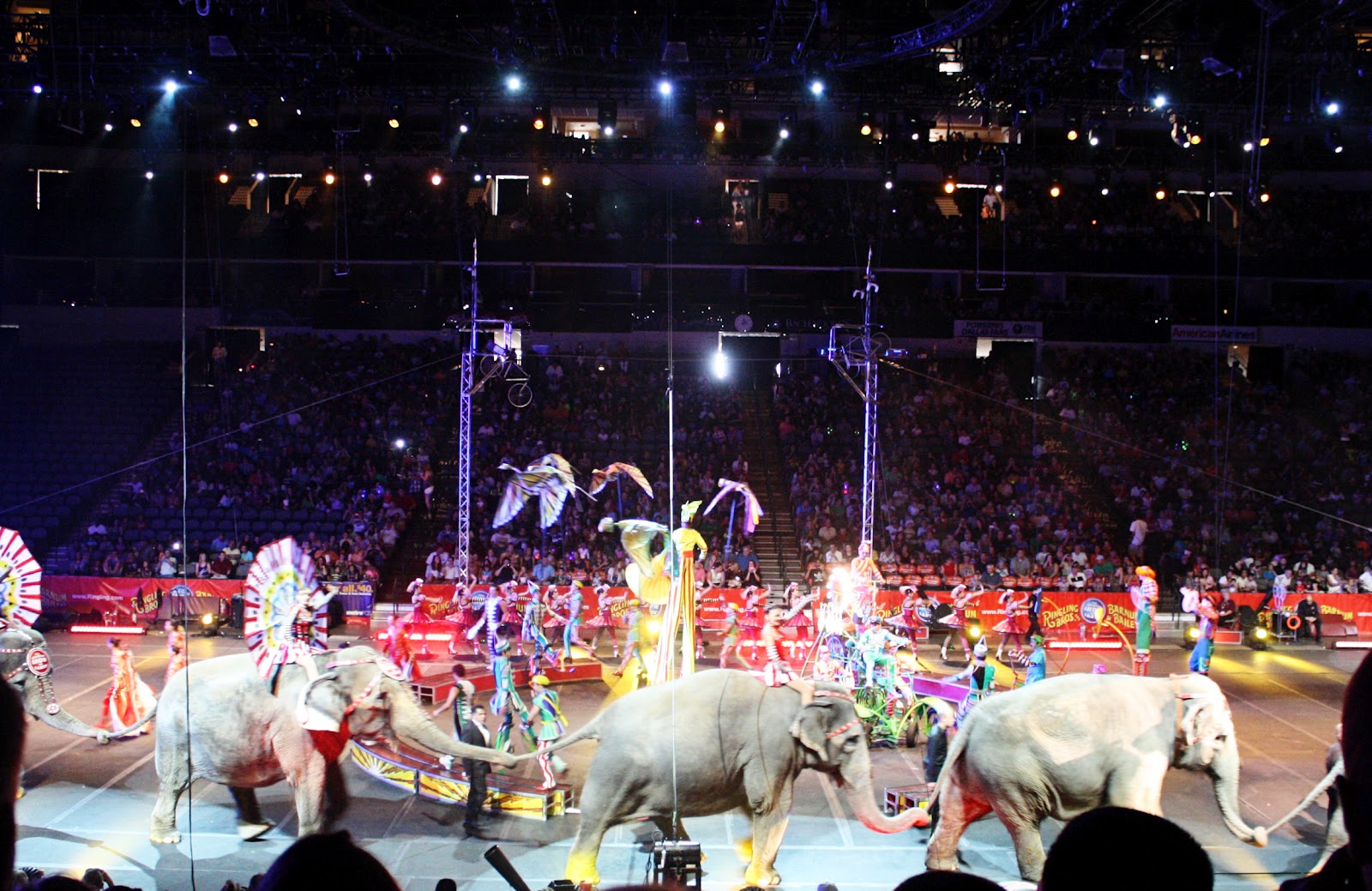 The Dotson Adventure Circus Circus!