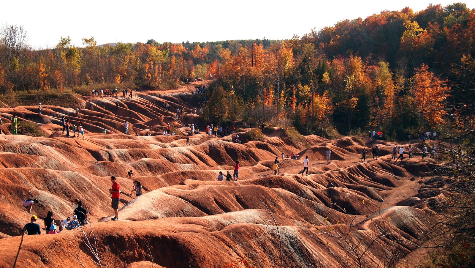 k a t cheltenham badlands