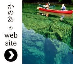 ウェブサイト