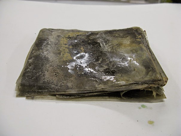 Cellulose nitrate negatives were found blocked together, so Wellington photography conservator have spent many hours restoring them until they revealed their secrets. - 100-Year-Old Box Of Negatives Discovered Frozen In Block Of Antarctica’s Ice Cellulose nitrate negatives were found blocked together, so Wellington photography conservator have spent many hours restoring them until they revealed their secrets. - 100-Year-Old Box Of Negatives Discovered Frozen In Block Of Antarctica’s Ice
