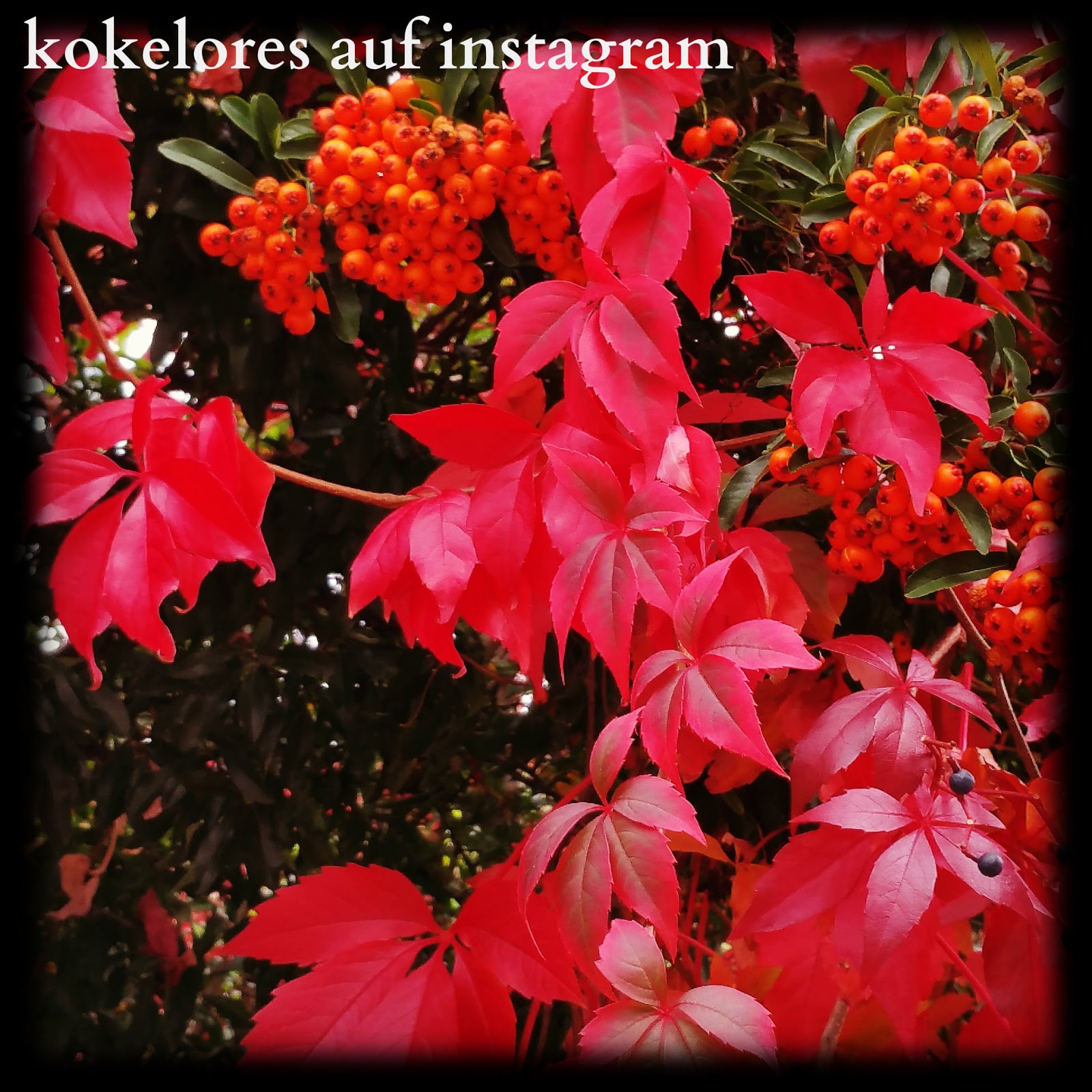 Kokelores Kunst Kitsch Katzen 2015